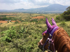 Mexico-Oaxaca-Ocotlan Valley to La Compañía